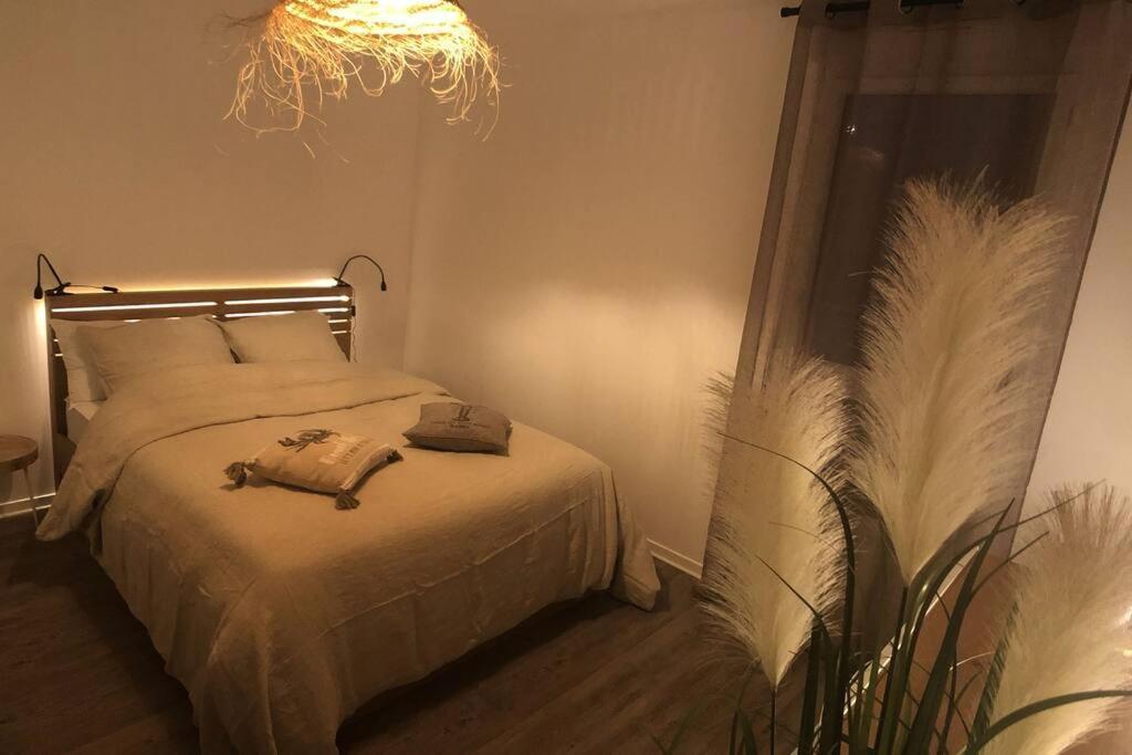Appartement, Confort, Parking, Terrasse Dinan Esterno foto